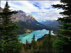 Góry, Jezioro Moraine, Prowincja Alberta, Kanada, Świerki, Park Narodowy Banff, Drzewa