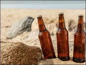 trzy butelki piwa na piasku