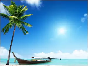 Łódka pod palmą na morzu