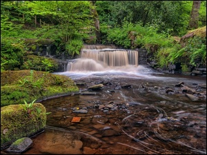 Wodospad wpadający do kamienistej rzeki w lesie