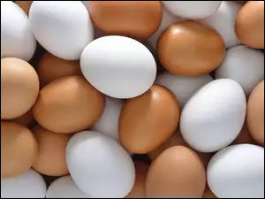 Ułożone jaja kurze