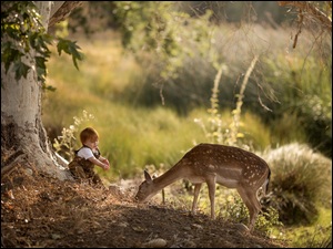 Dziecko i sarenka pod drzewem w lesie