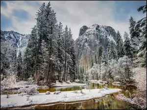 Rzeka wzdłuż ośnieżonych świerków w Parku Narodowym Yosemite na tle gór
