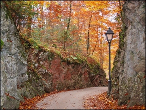 Droga między skałami i drzewami w lesie