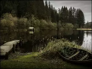 Kładka nad jeziorem wśród zarośli z łódką