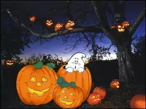 dynie, Halloween, duszek