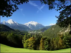 Łąka, Niemcy, Góry Watzmann, Park Narodowy Berchtesgaden, Las