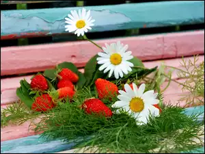 letnie kwiaty rumianka z zielonym koprem i truskawkami na ławce