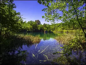 Park Jezior Plitwickich w Chorwacji