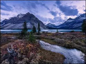 Drzewa, Kanada, Góry, Park Narodowy Banff, Jezioro Bow Lake