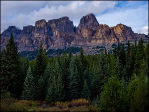 Góry, Las, Kanada, Drzewa, Park Narodowy Banff, Góra Castle Mountain