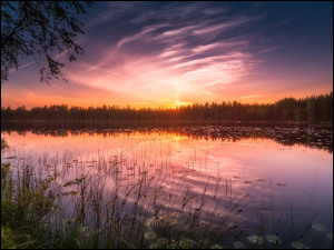 widok na fińskie jezioro Sikajarvi przy zachodzie słońca