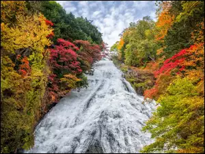 między jesiennymi drzewami płynący wodospad