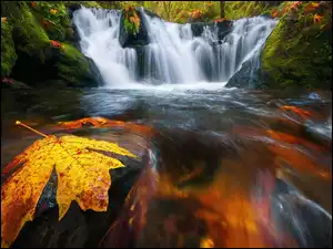 Jesienny liść na wodospadzie
