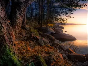 Wschód słońca nad jeziorem z kamieniami