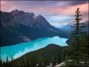 Jezioro między górami i lasem