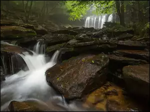 Leśny potok z głazami