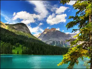Park Narodowy Yoho, Góry, Kanada, Lasy, Kolumbia Brytyjska, Jezioro Emerald Lake