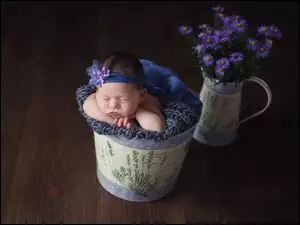 Śpiące dziecko w wiadrze z wazonem kwiatów