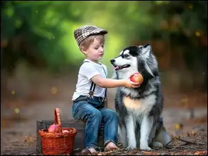 Chłopiec z psem w lesie