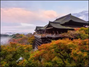 Japońska świątynia w mglistym jesiennym lesie