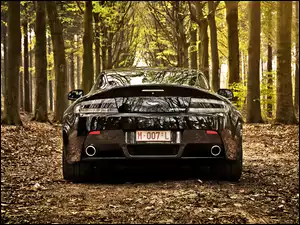 Aston Martin V12 w lesie