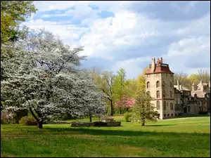 Drzewa, Muzeum, Stan Pensylwania, Fonthill Castle, Stany Zjednoczone
