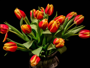 bukiet tulipanów na czarnym tle