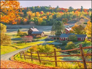 Jesienna droga z drzewami i stawem obok domów w USA