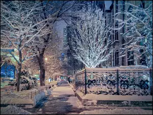 Ulica zimą w Chicago