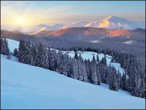 Wschód słońca nad zimowymi górami i lasem