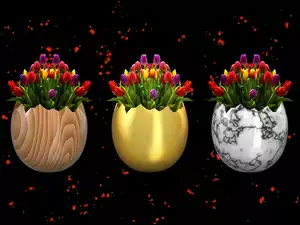Tulipany w jajkach na ciemnym tle