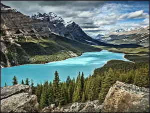 Górskie leśne jezioro w Kanadzie