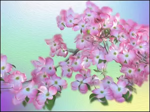 Farba olejna w graficznych kwiatach