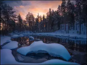 Śnieżne jezioro leśne w Norwegii