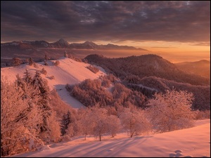 Zimowe góry leśne w Słowenii