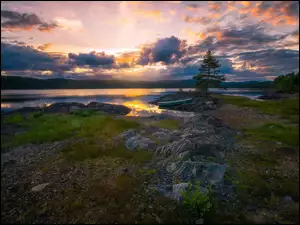 Zachód słońca nad norweskim jeziorem i drzewami