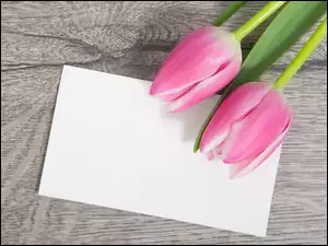 Dwa różowe tulipany z kartką