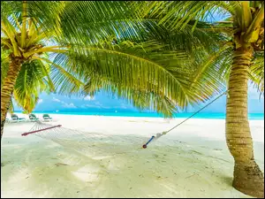 Palmy z hamakiem na morskiej plaży