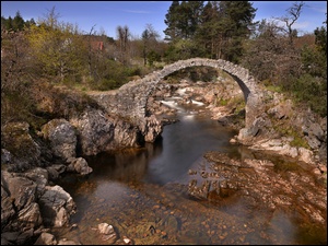 Kamienny most nad rzeką z drzewami
