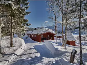 Zimowy domek w leśnych górach