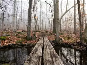 Mostek na leśnej jesiennej rzece
