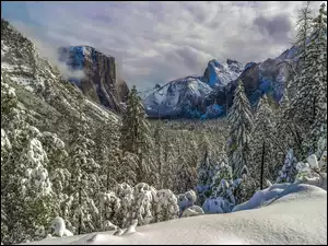 Zimowe góry z lasem