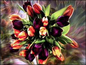 Bukiet graficznych tulipanów