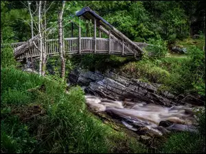 Drewniany Most na leśnej kamiennej rzece