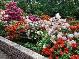 Ogród kwiatów