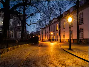 Miejska ulica z domami i latarniami