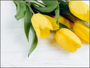Bukiet żółtych tulipanów położony na deskach