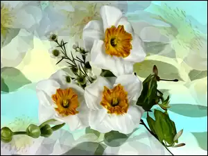 Graficzne kwiatuszki