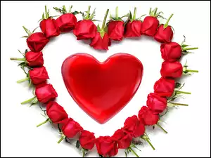 Róże ułożone w kształt serca